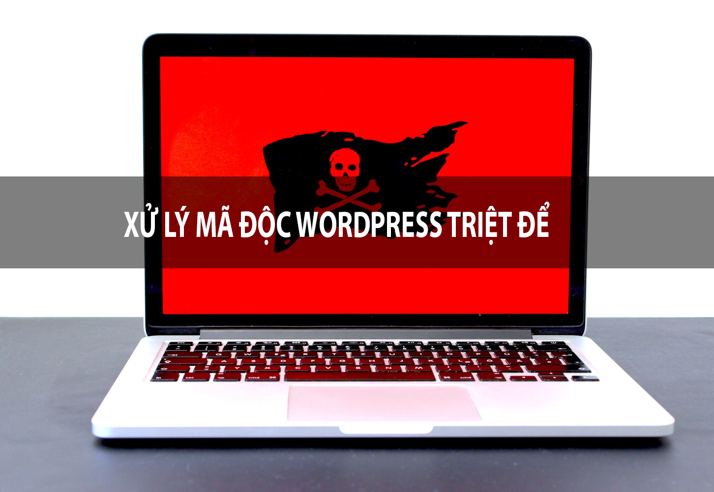 Hướng dẫn xử lý mã độc website WordPress triệt để