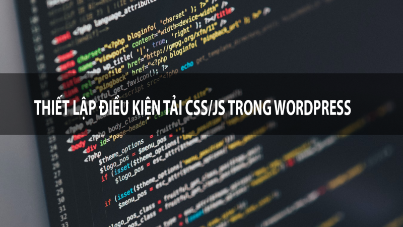 Thiết lập điều kiện tải CSS/JS trong WordPress